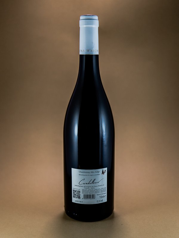 Chardonnay “Cardellino”-1